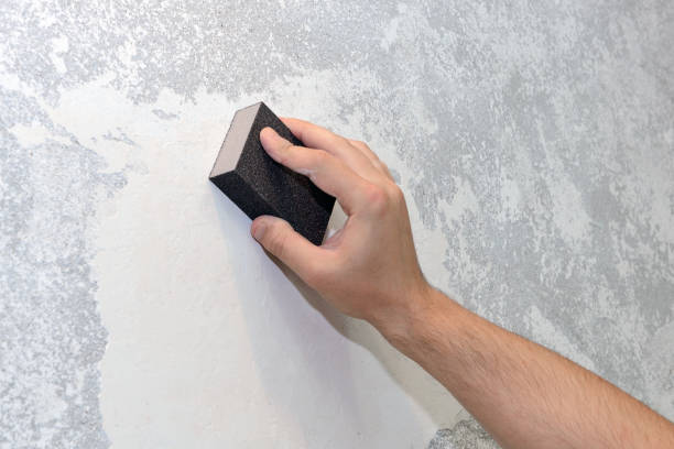 Best Water Damage & Mold Remediation  in Chestnut Ridge, NY