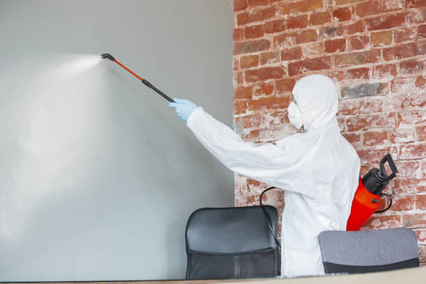  Chestnut Ridge, NY Mold Removal Pros
