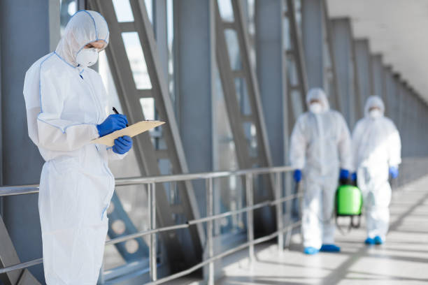 Best Biohazard Mold Removal  in Chestnut Ridge, NY