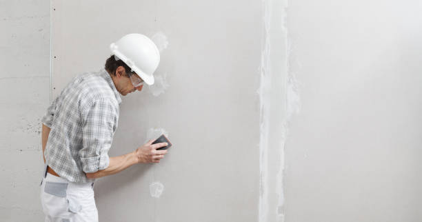 Mold Odor Removal Services in Chestnut Ridge, NY