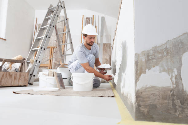 Best Mold Remediation for Healthcare Facilities  in Chestnut Ridge, NY