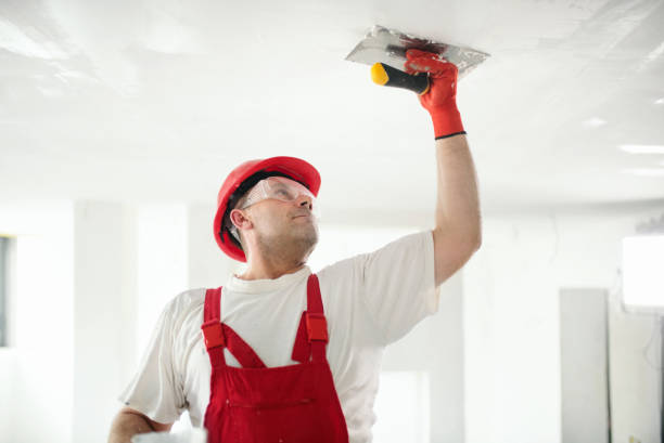 Best Real Estate Mold Inspection  in Chestnut Ridge, NY